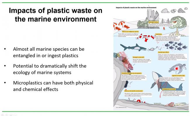 Impacts of plastic waste on marine environment