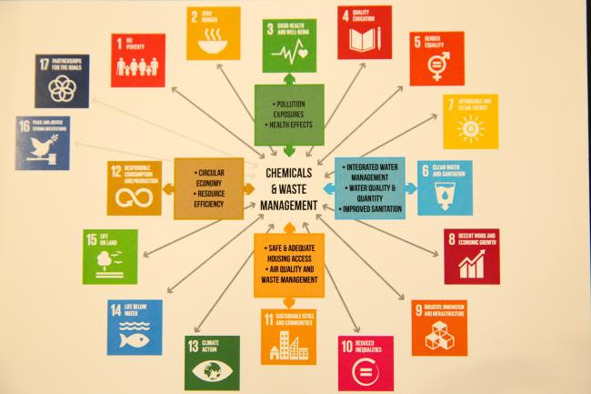 Chemicals and the SDGs