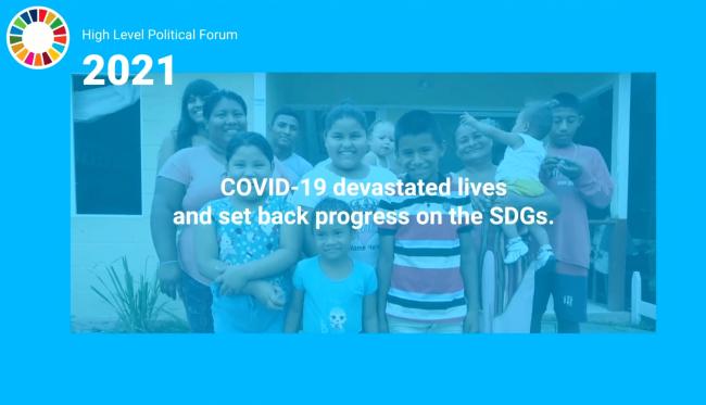 COVID-19 and the SDGs - lead - HLPF2021 - 6July21 - photo