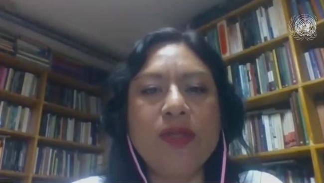 Irma Pineda Santiago, Member of the Permanent Forum on Indigenous Issues, Mexico