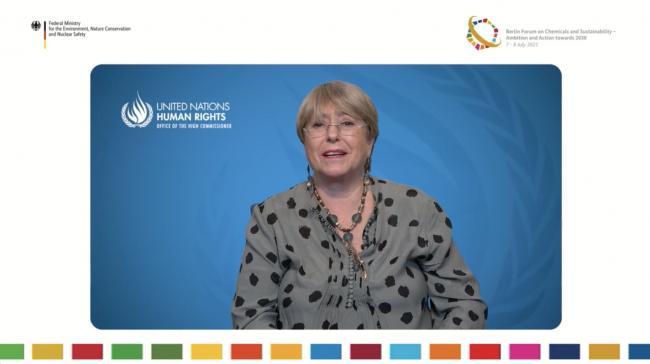 Michelle Bachelet, UN High Commissioner for Human Rights