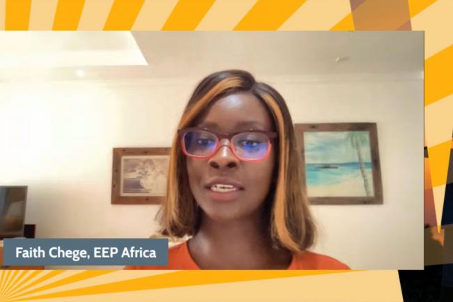 Faith Chege, Energy and Environment Partnership (EEP AFRICA)