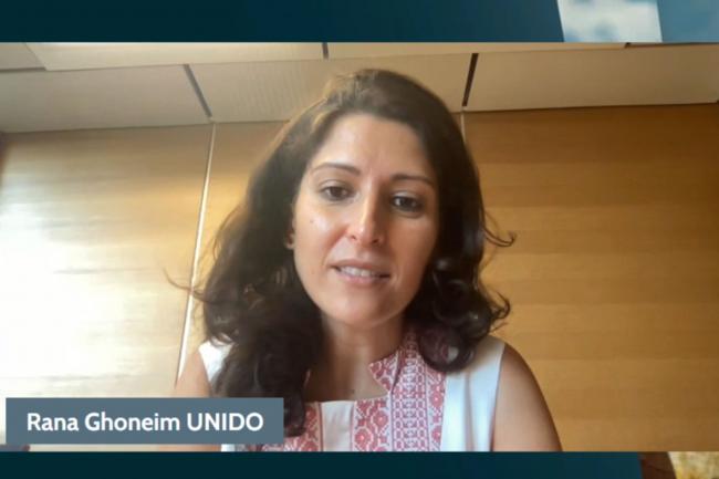 Rana Ghoneim, Industrial Development Officer, UNIDO