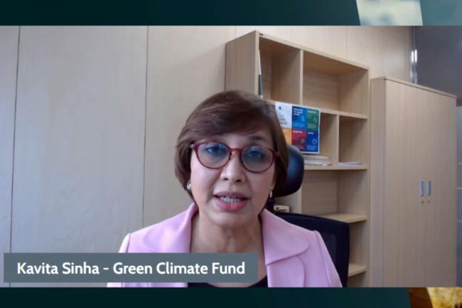 Kavita Sinha, Deputy Director for the Division of Mitigation and Adaptation, Green Climate Fund (GCF)