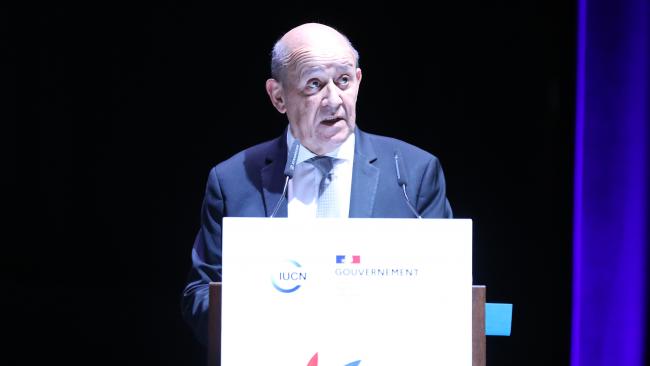 Jean-Yves Le Drian, Minister of Europe and Foreign Affairs, France