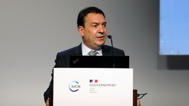 Jean-Marie Paugam, World Trade Organization