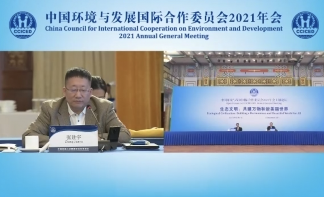 ZHANG Jianyu, CCICED Special Advisor, Executive President of BRI Green Development Institute (BRIDGI), International Coordinator of the BRIGC Advisory Committee 