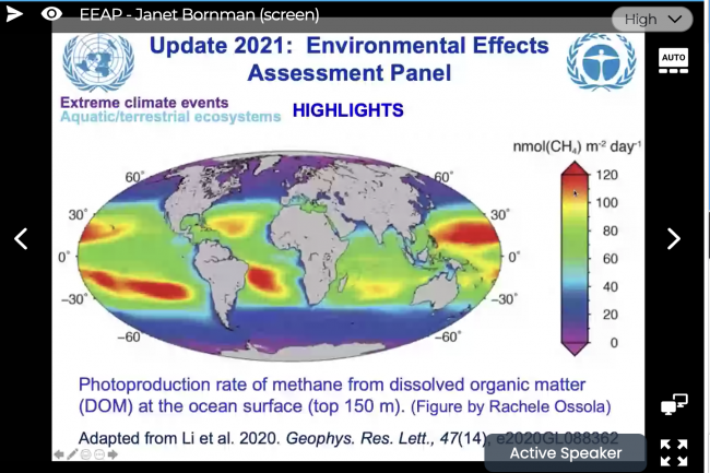 EEAP Slide