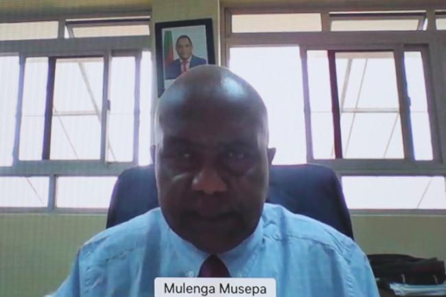 Mulenga Musepa, Interim Statistician General, Zambia Statistics Agency (ZamStats)