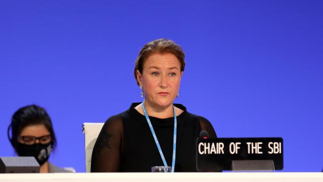 Subsidiary Body for Implementation (SBI) Chair Marianne Karlsen