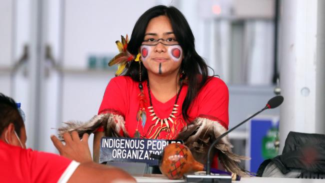 Taily de Faria Marcos Terena, the Amazon Conservation Team