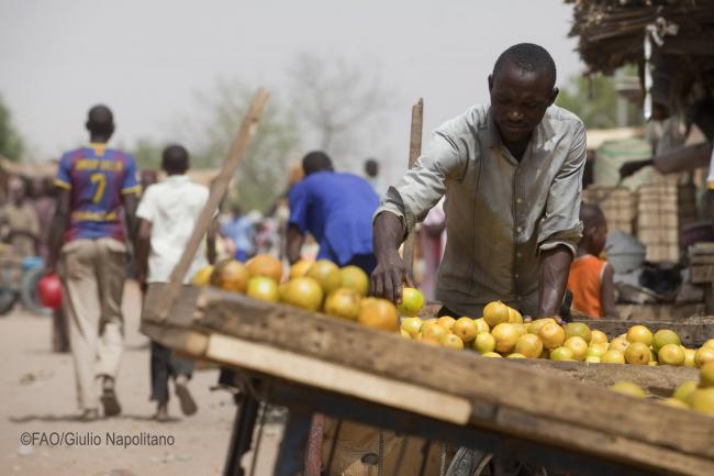 Smallholders face challenges in securing market access