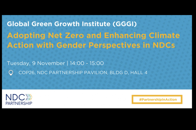 Adopting Net Zero and Enhancing Climate Action with Gender Perspectives in NDCs