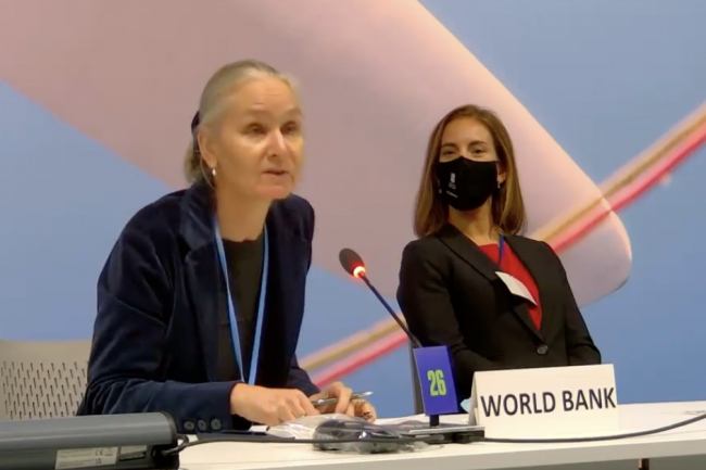 Bernice Van Bronkhorst, Global Director of the Climate Change Group, World Bank