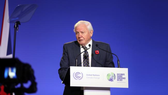 David Attenborough, British broadcaster