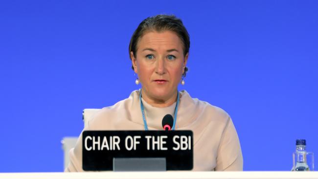 Marianne Karlsen, Chair, Subsidiary Body for Implementation (SBI)