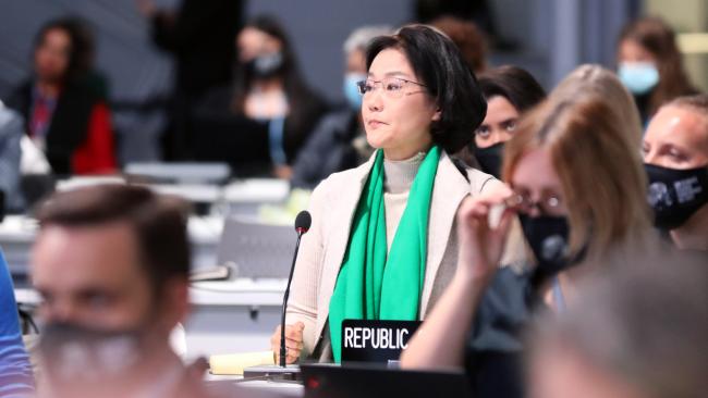 Hyo Eun Kim, Ambassador and Deputy Minister for Climate Change, Republic of Korea