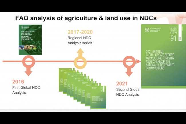 FAO Analysis of Agriculture and Land Use