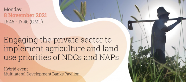 Engaging the private sector to implement agriculture and land use priorities of NDCs and NAPs at COP26