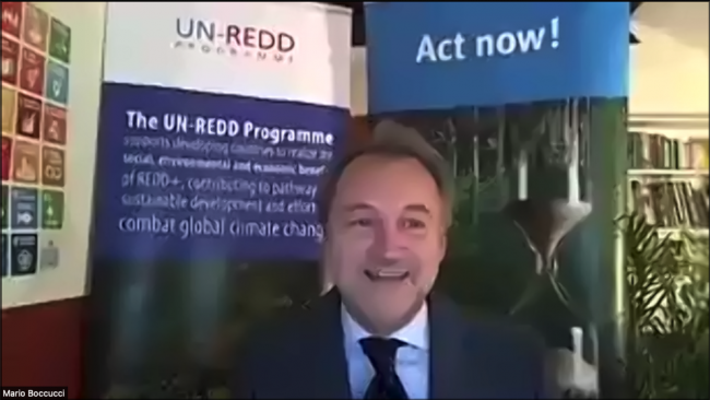 MarioBoccucciUN-REDD_unredd-financing-forestCOP26_4Nov2021_photo.png