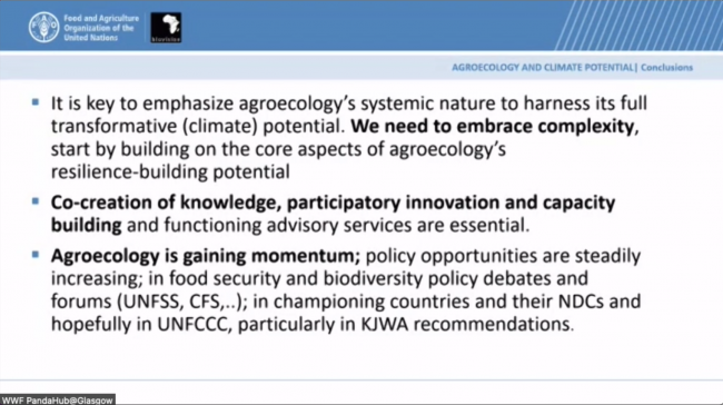 Slide Fabio Leippert, Biovision_fao-koroniviaCOP26_3Nov2021_photo.png