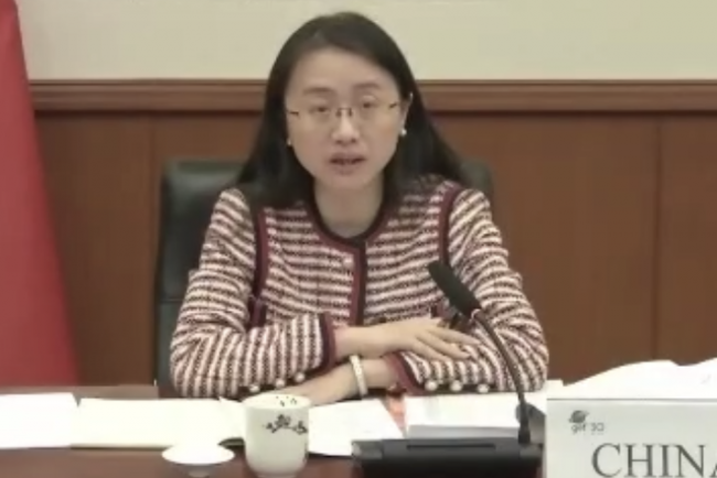  Hongxia Li, Council Member, China