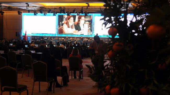 A view of meeting room - Barcelona Convention COP 22 - 7Dec2021 - Photo