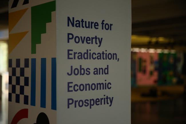 Nature for poverty