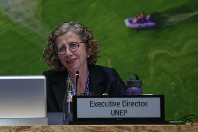 Inger Andersen, Executive Director, UN Environment Programme