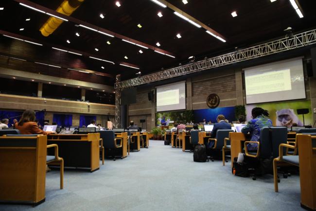 Delegates resume discussions under Cluster 4