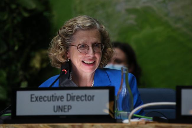 Inger Andersen, Executive Director, UN Environment Programme