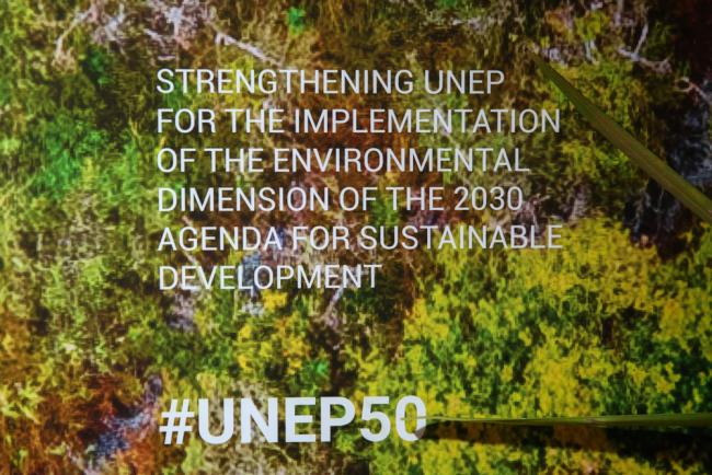 UNEP@50