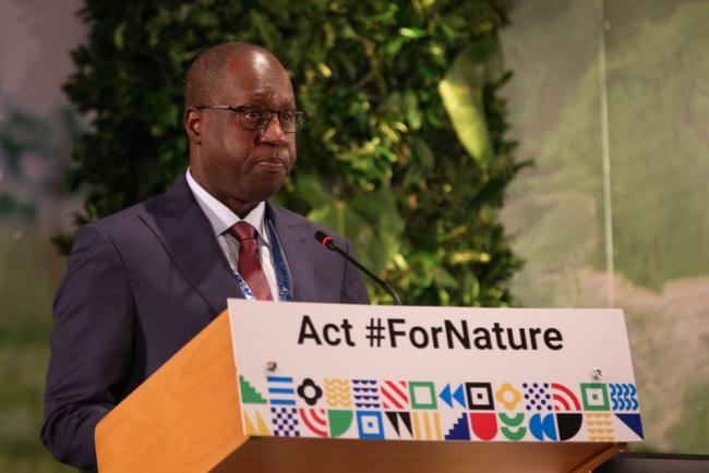 Abdou Karim Sall, Minister of Environment and Sustainable Development, Senegal