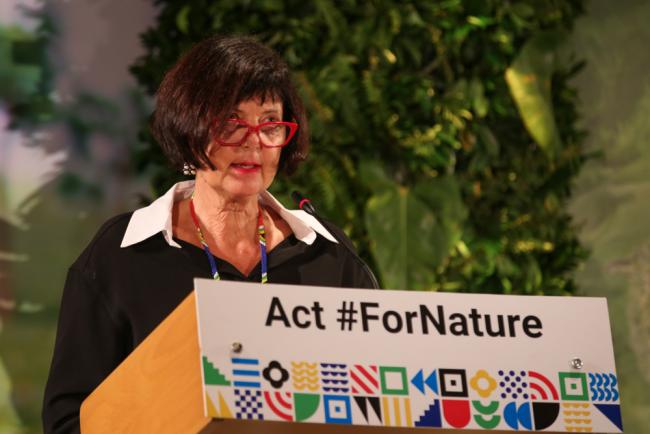 Barbara Creecy, Minister of Forestry, Fisheries and the Environment, South Africa, and UNEA Vice President