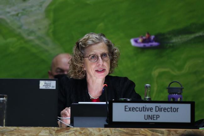 Inger Andersen, UNEP Executive Director