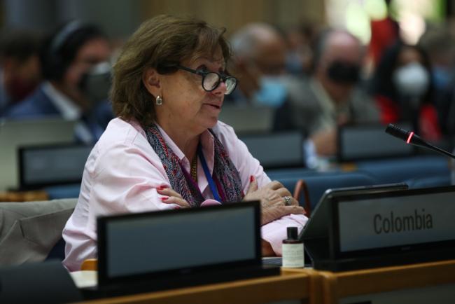 Monica de Greiff, Colombia, on behalf of the G-77/China