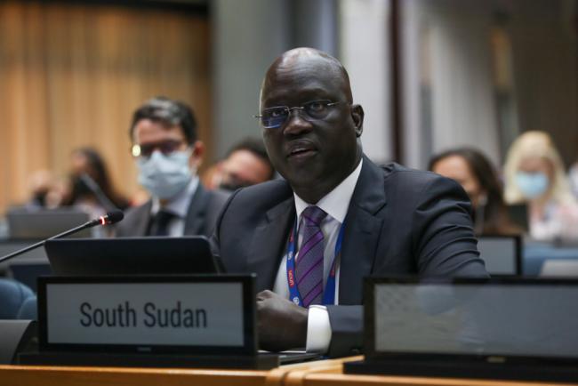 Chol Ajongo, South Sudan, on behalf of the African Group