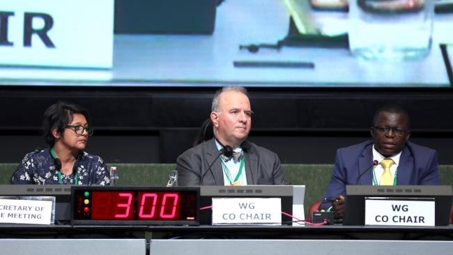 From L-R: Jyoti Mathur-Filipp, CBD Secretariat; Basile van Havre and Francis Ogwal, Co-Chairs of the Open-ended Working Group on the post-2020 Global Biodiversity Framework