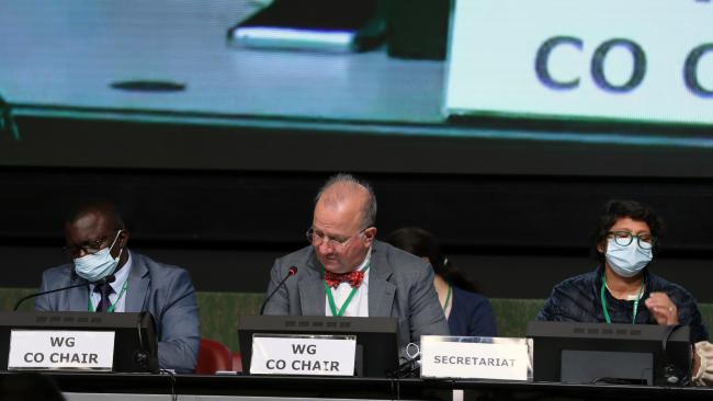 From L-R: Basile van Havre and Francis Ogwal, Co-Chairs of the Open-ended Working Group on the post-2020 Global Biodiversity Framework; and Jyoti Mathur-Filipp, CBD Secretariat