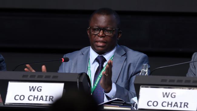 Francis Ogwal, Co-Chair of the Open-ended Working Group on the post-2020 Global Biodiversity Framework
