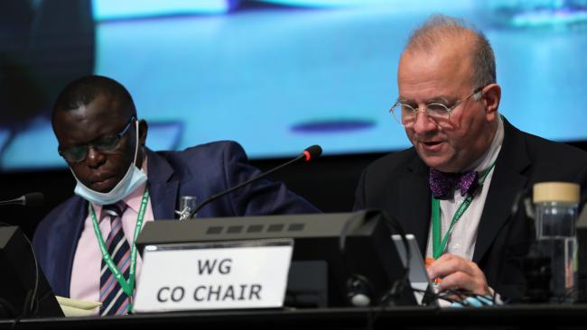 Francis Ogwal and Basile van Havre, Co-Chairs of the Open-ended Working Group on the post-2020 Global Biodiversity Framework