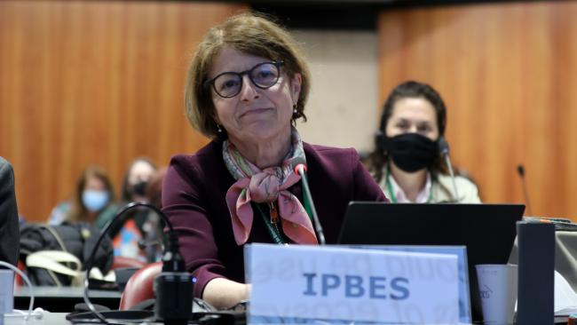   Anne Larigauderie, IPBES Executive Secretary