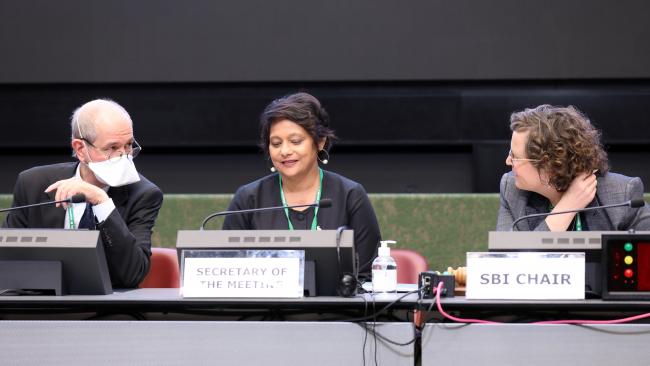 View of the dais during the morning plenary