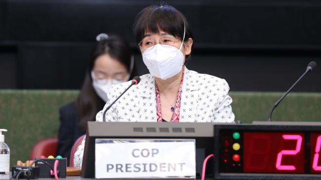 Zhou Guomei, Deputy Secretary General, China Council for International Cooperation on Environment and Development (CCICED), on behalf of COP President Huang Runqiu, Minister of Ecology and Environment, China