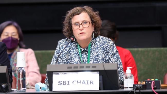 Charlotta Sörqvist, SBI Chair