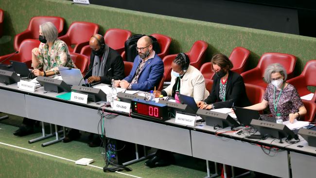 View of the dais during the Contact Group on Digital Sequence Information