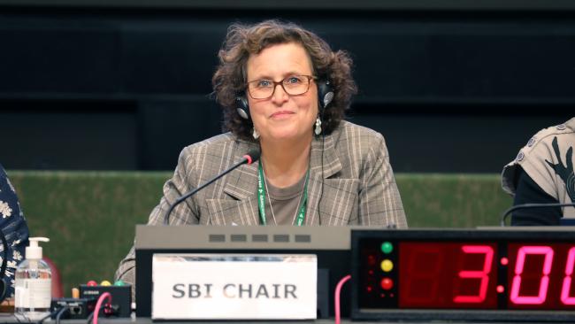 Charlotta Sörqvist, SBI Chair