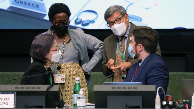 From L-R: Jihyun Lee, CBD Secretariat; Elizabeth Mrema, Executive Secretary, CBD; SBSTTA Chair Hesiquio Benítez Díaz; and Joseph Appiott, CBD Secretariat