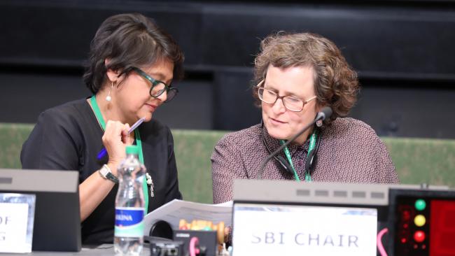Jyoti Mathur-Filipp, CBD Secretariat; with Charlotta Sörqvist, SBI Chair