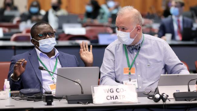 Francis Ogwal and Basile van Havre, Co-Chairs of the Open-ended Working Group on the post-2020 GBF